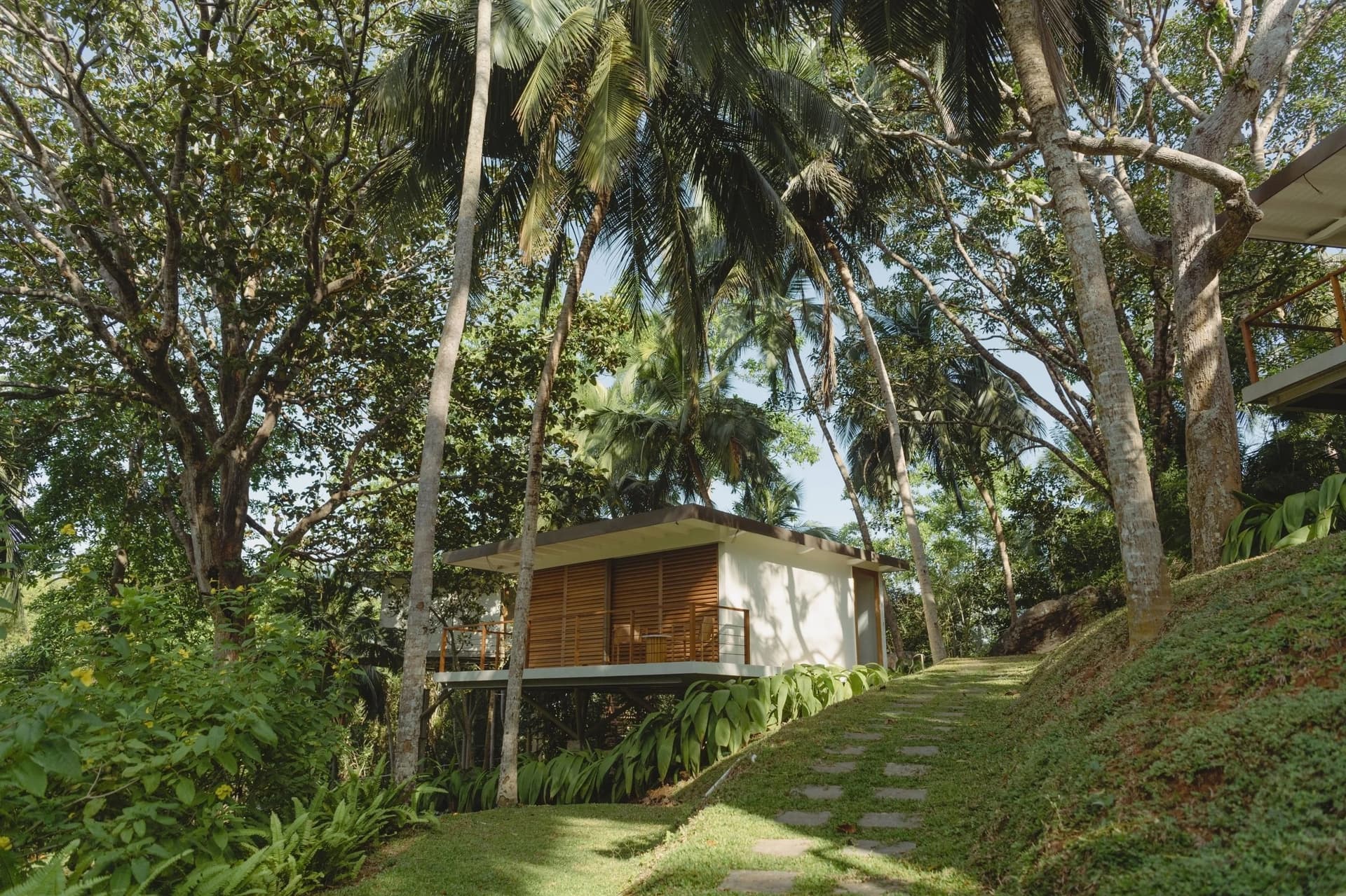 Private Tree House