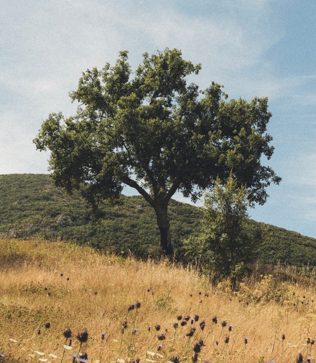 Retreat image