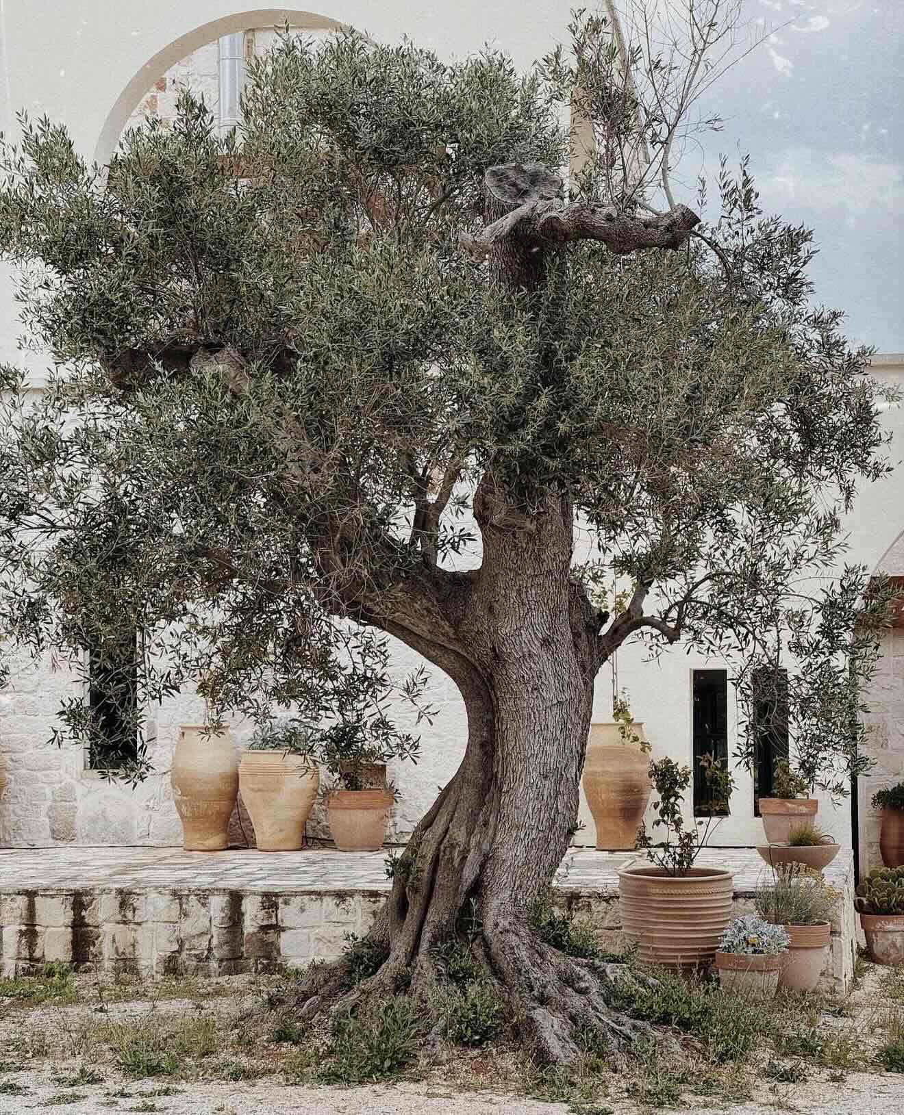 Retreat image