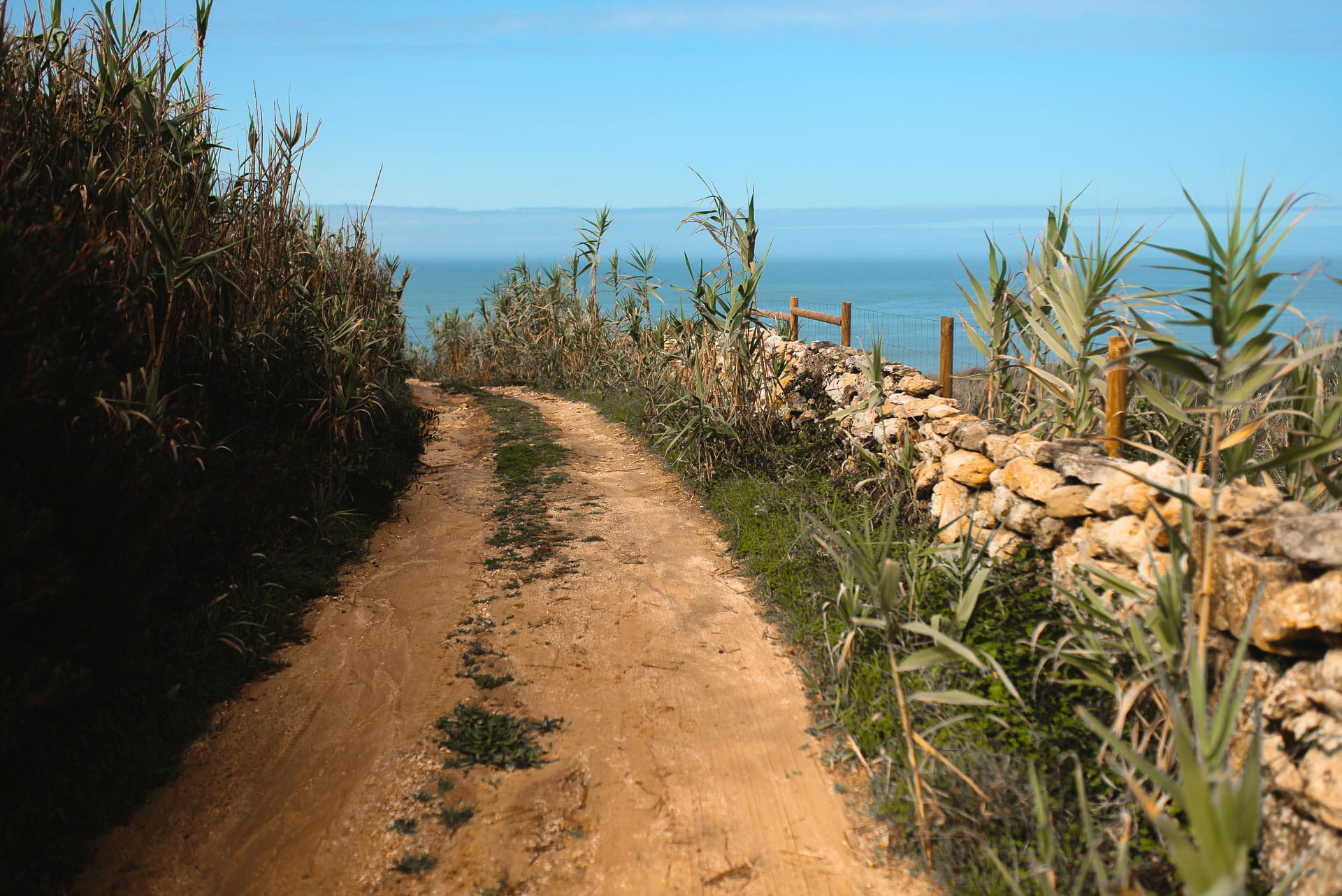 Retreat image