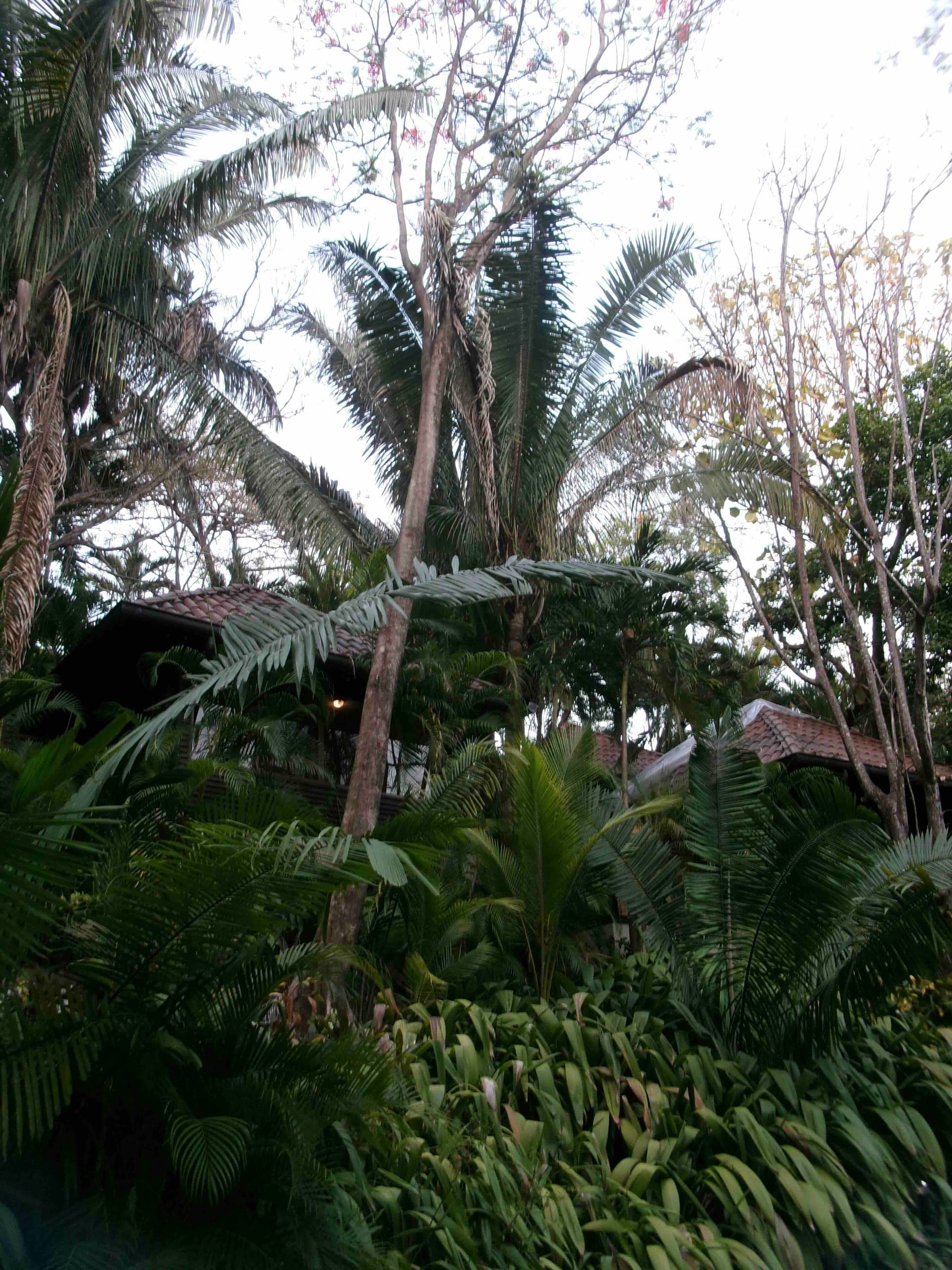 Retreat image