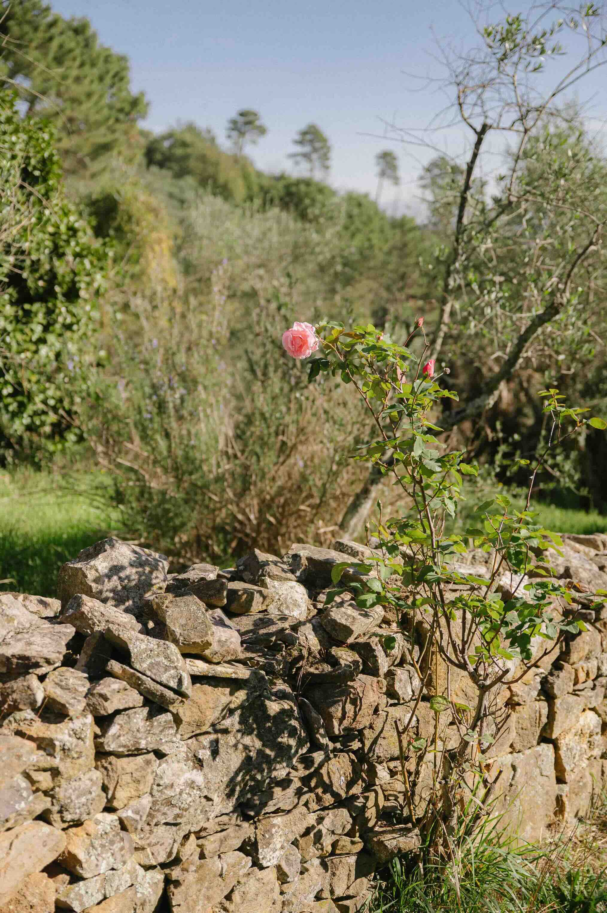 Retreat image