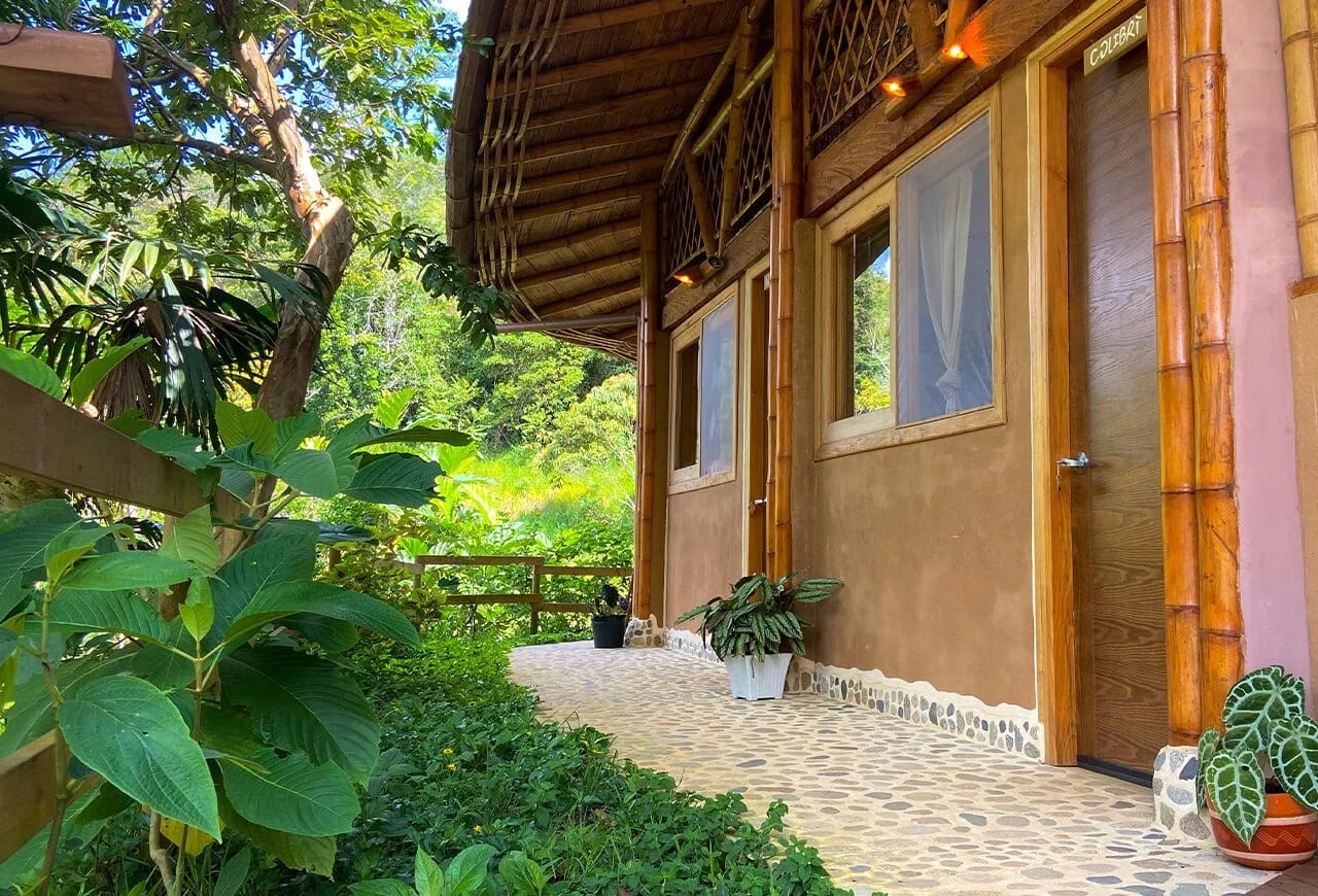 Colibrí Room - Image 4