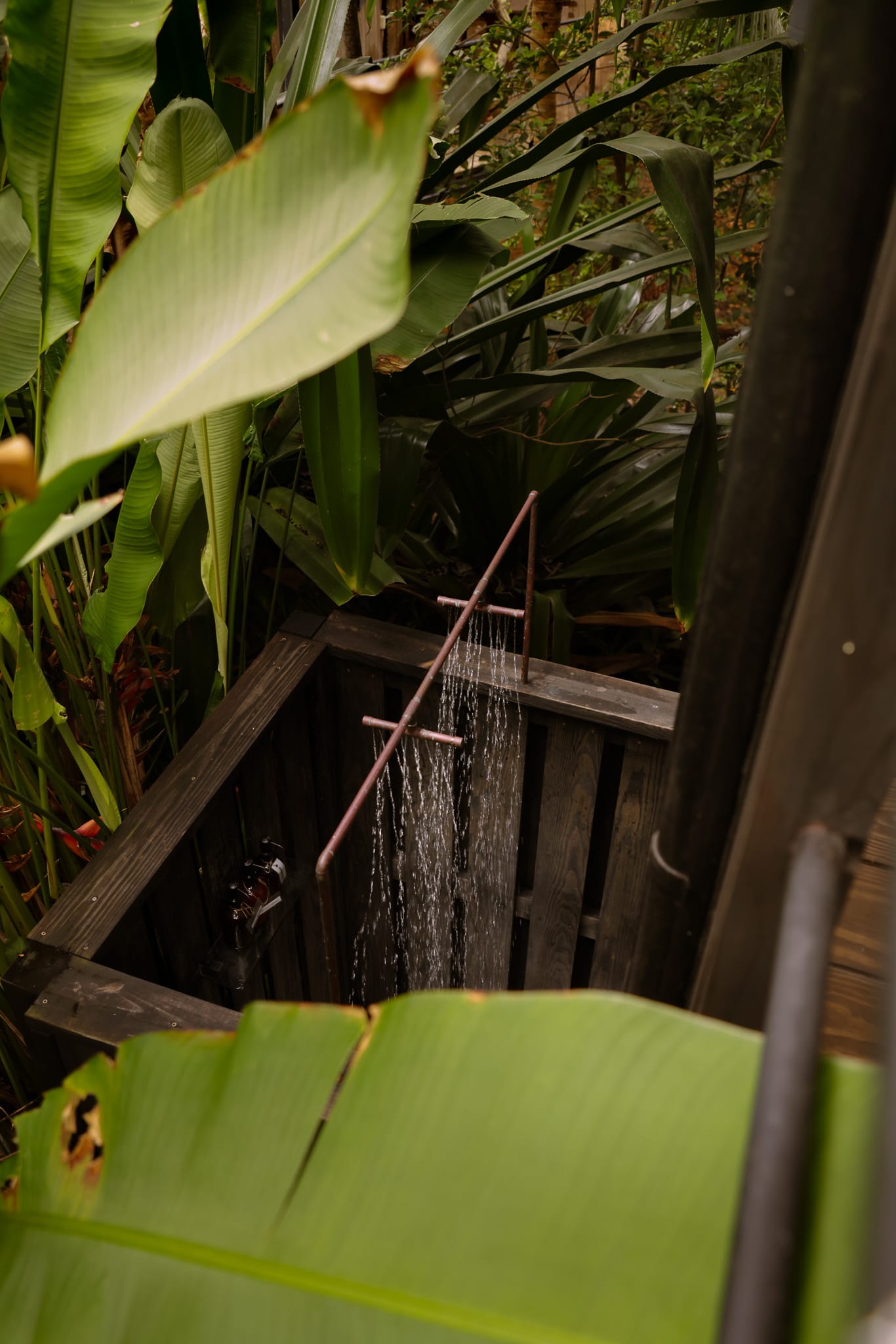 Invisible Treehouse | Downstairs - Image 4