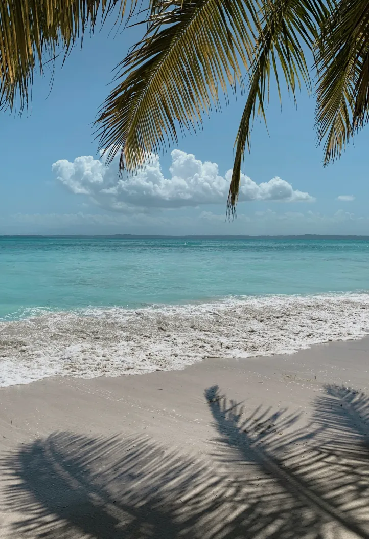 Americas & Caribbean
