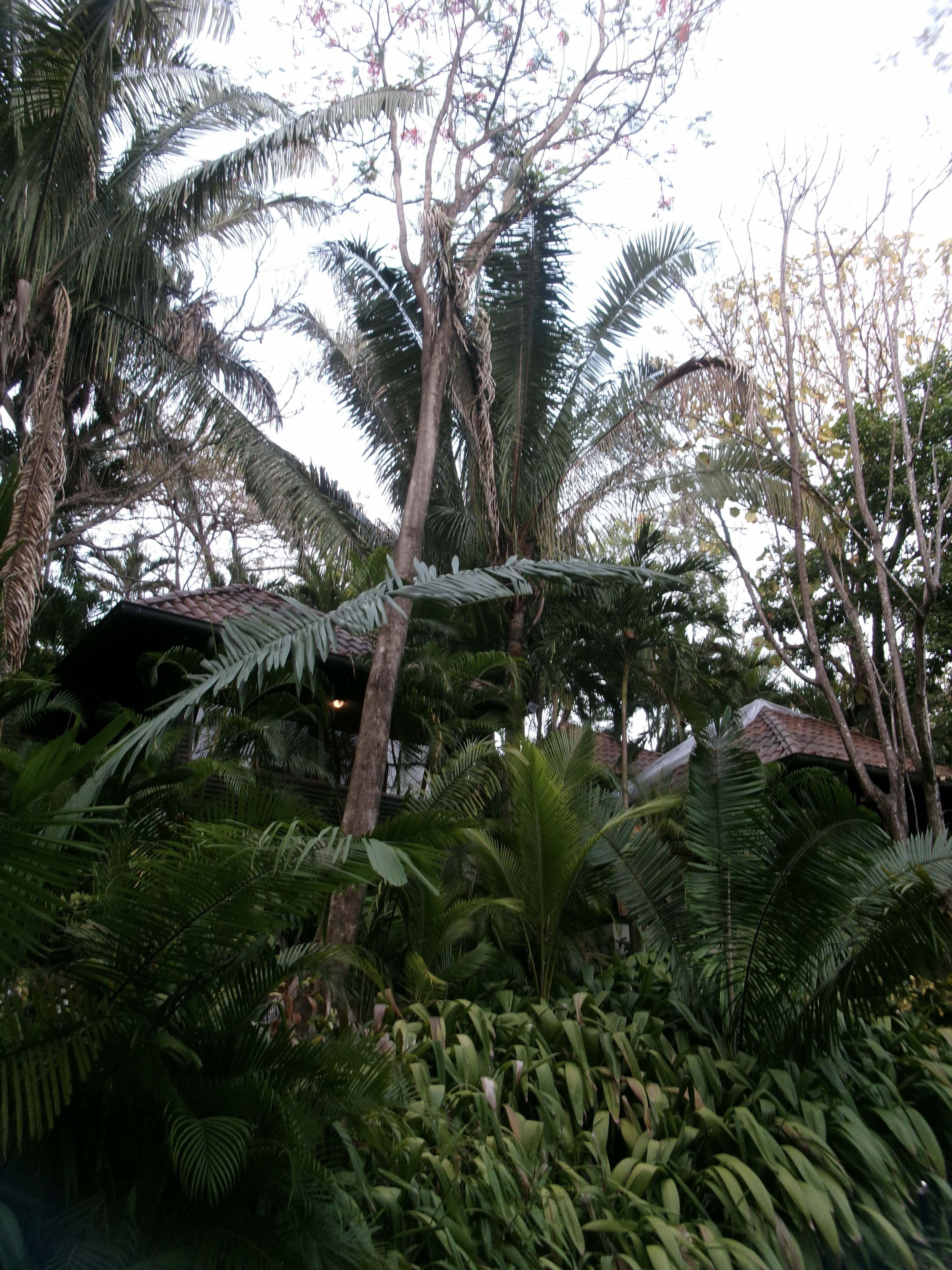 Nosara, Costa Rica destination