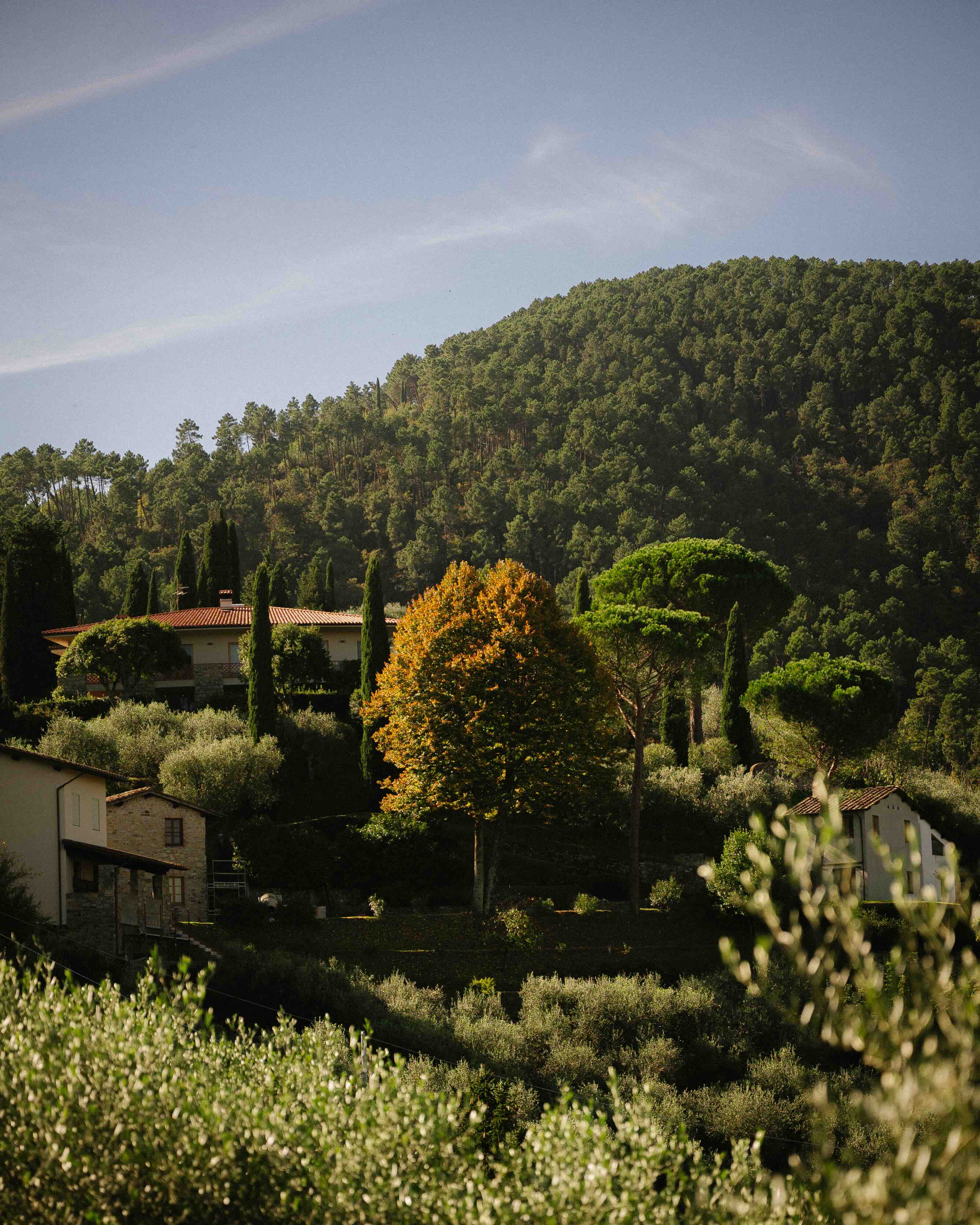 Tuscany, Italy destination
