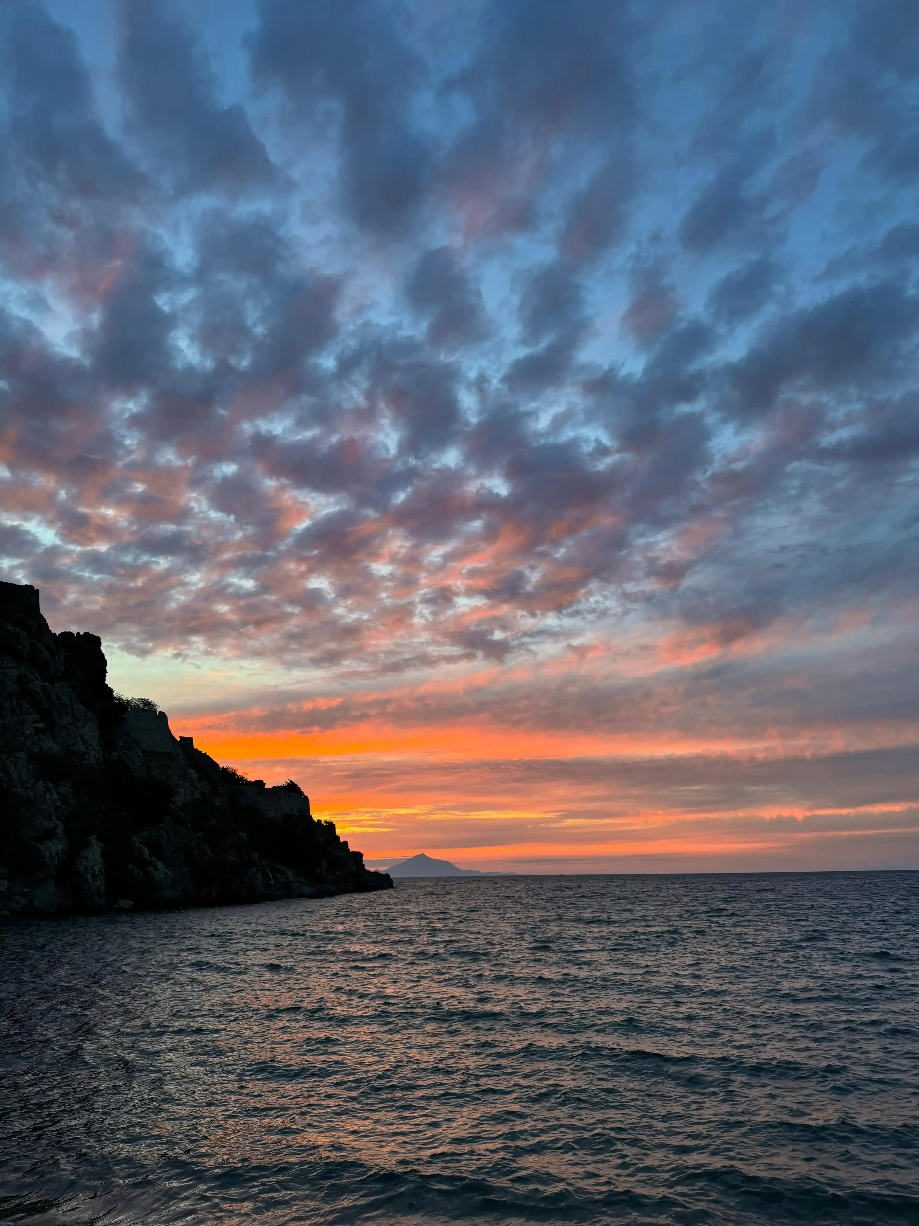 The ANANDAYA Wellness Concierge