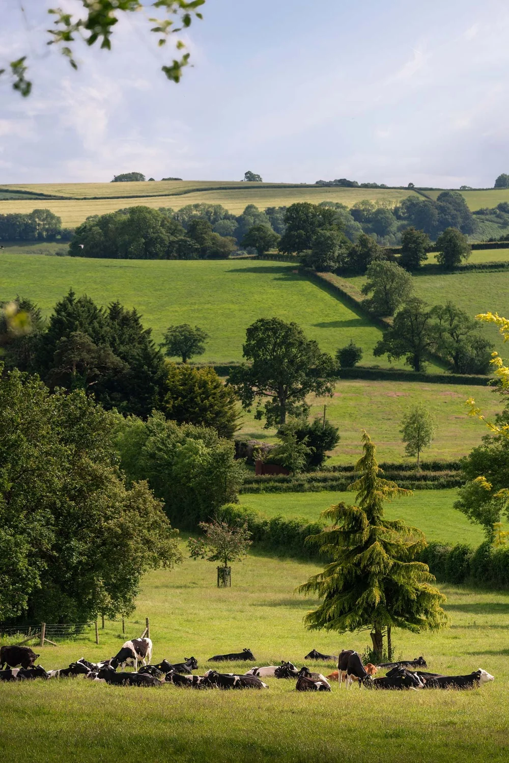 Somerset, England destination