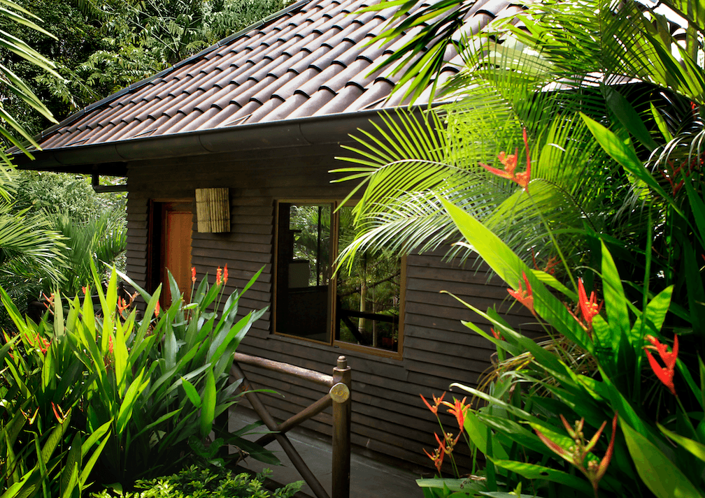 Nature Suite - Image 4