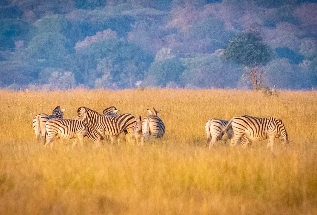 Kavimba, Botswana destination