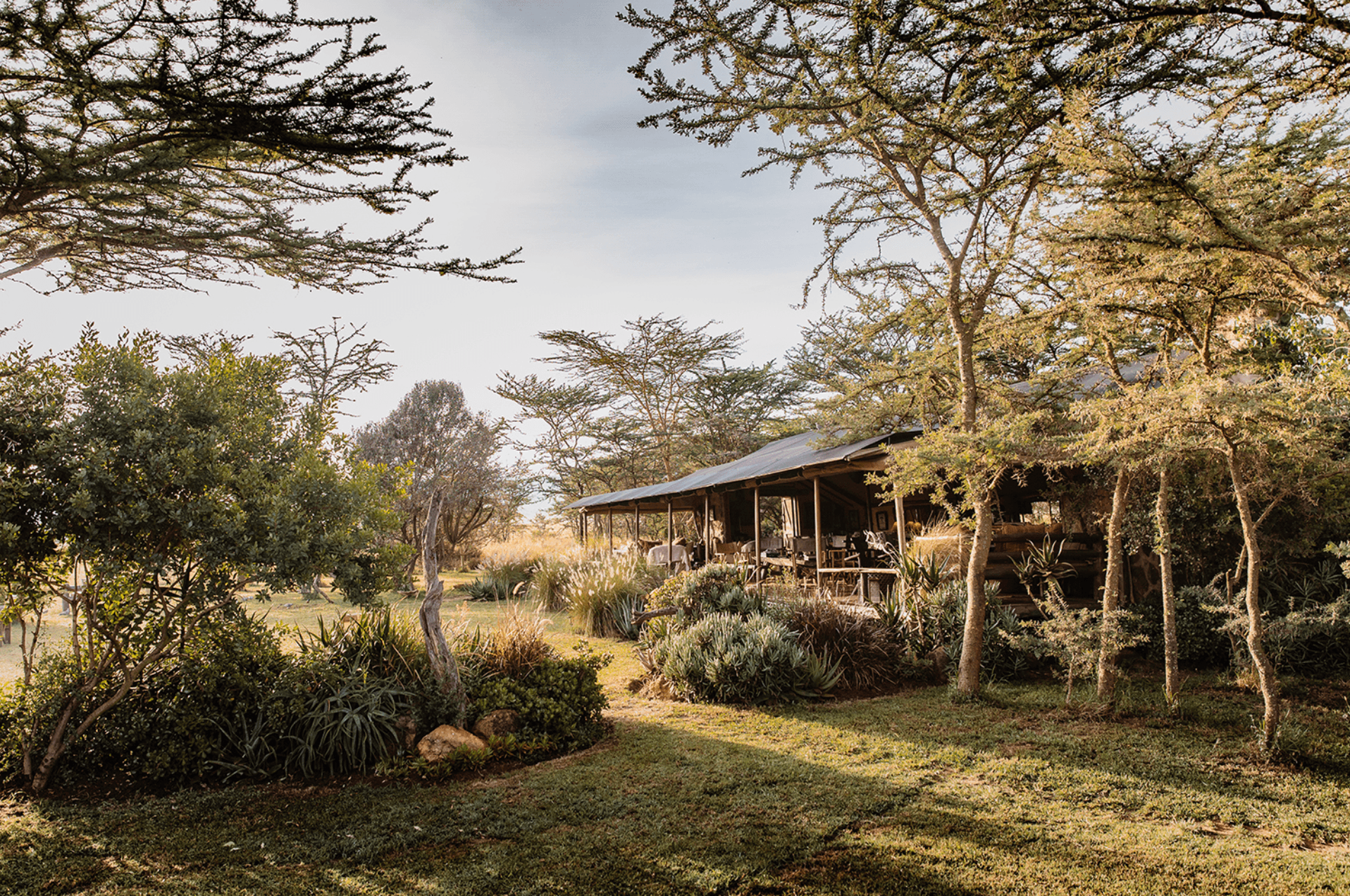 Shared Room - Image 1