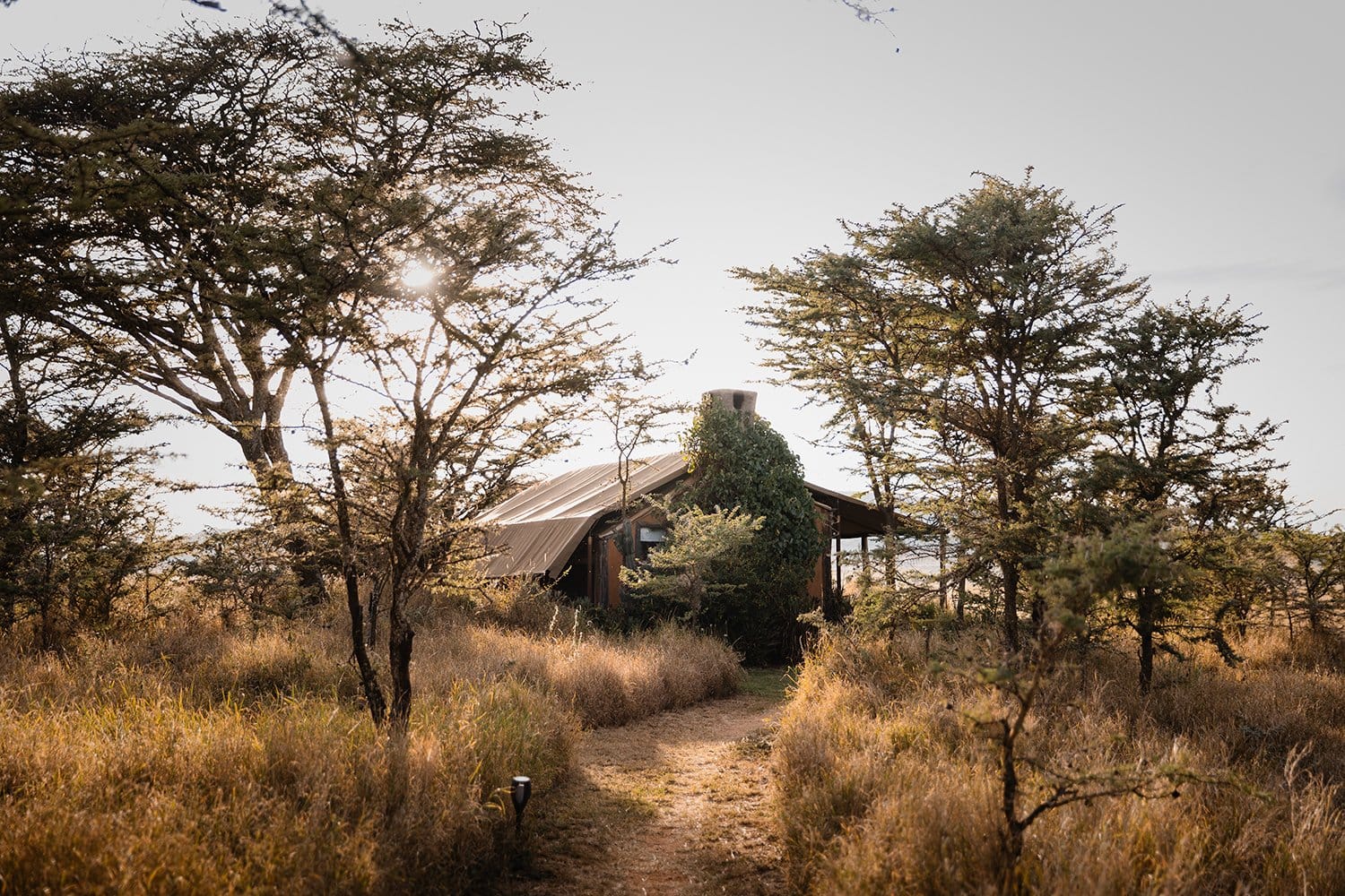 Shared Room - Image 1